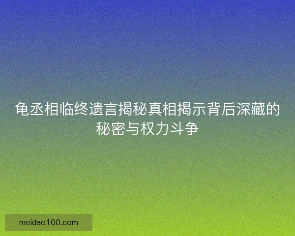 龟丞相临终遗言揭秘真相揭示背后深藏的秘密与权力斗争